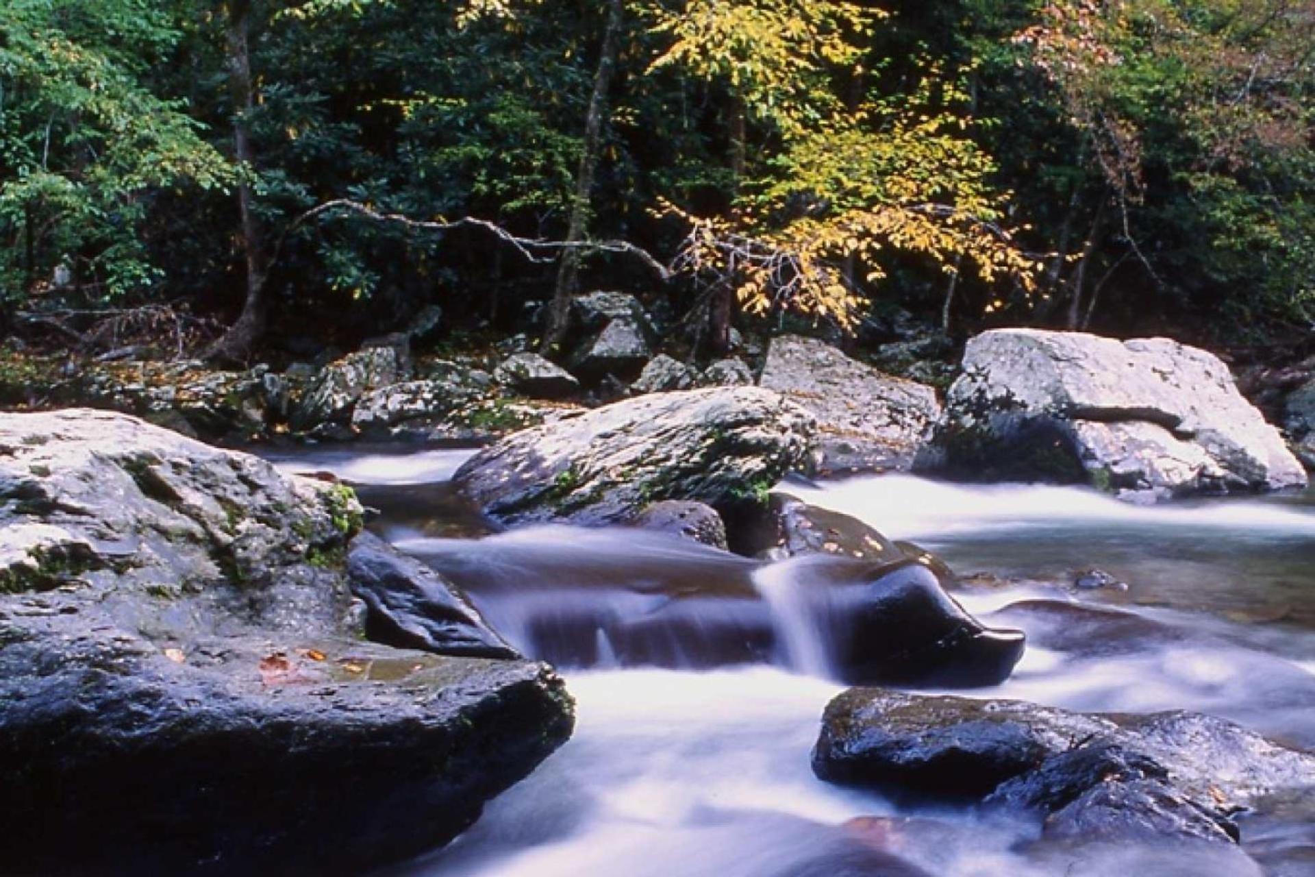 Waterfall Cabin McCookville Dış mekan fotoğraf