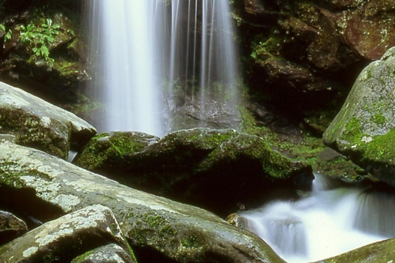 Waterfall Cabin McCookville Dış mekan fotoğraf